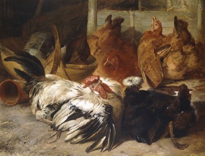 Ein silbergrauer Rosecomb-Hahn und ein weißgekrönter schwarzer Polen mit zwei Buff-Hennen von Henry Weekes