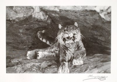 Tiger von Henry Wolf