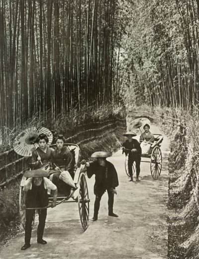 Eine Bambusallee in Kyoto von Herbert Ponting