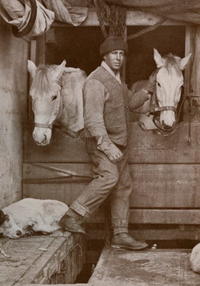 Kapitän Oates und Ponys auf der Terra Nova von Herbert Ponting