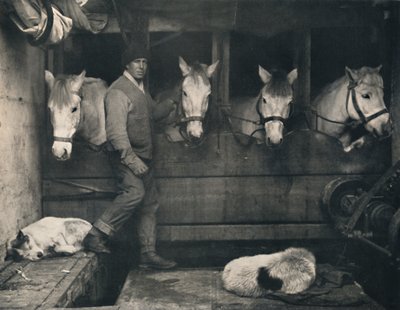 Kapitän Oates auf der Terra Nova mit den sibirischen Ponys, um 1911, 1914 von Herbert Ponting