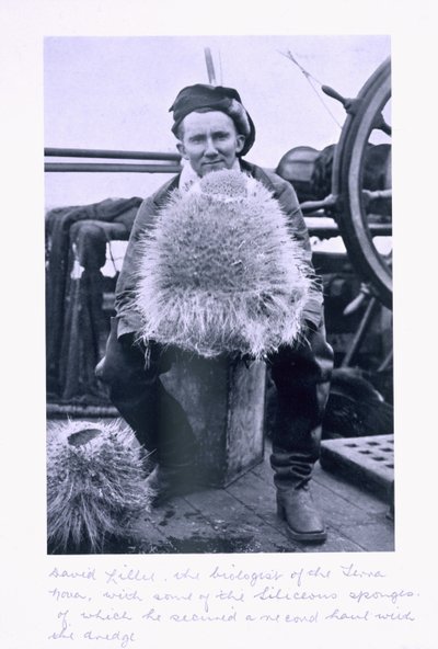 David Lille, Biologe der 