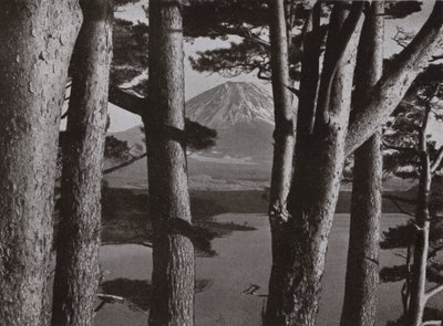 Fuji durch die Kiefern von Herbert Ponting