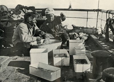 Lillie und Dr. Levick sortieren einen Schleppnetzfang, ca. 1910-1913, 1913 von Herbert Ponting