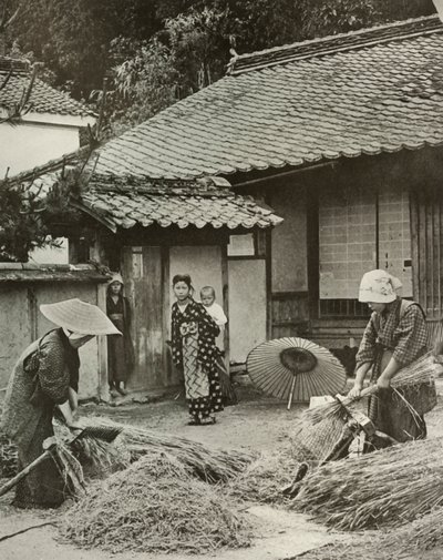 Bäuerinnen beim Gerstenschneiden, 1910 von Herbert Ponting