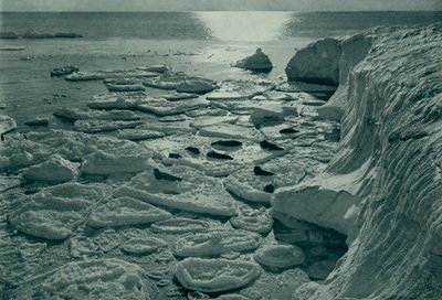 Robben sonnen sich auf neu gebildetem Pfanneneis vor Kap Evans, ca. 1910-1913, 1913 von Herbert Ponting