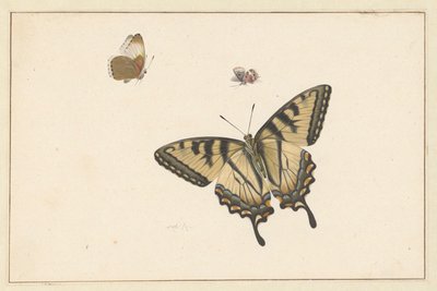 Drei Schmetterlinge von Herman Henstenburgh