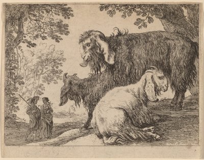 Angoraziege von Herman van Swanevelt