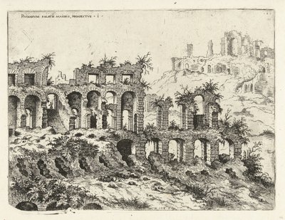 Ansicht des Kolosseums und des Palatin von Hieronymus Cock
