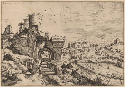 Ruinen auf dem Palatin, Blick auf die Caracalla-Thermen von Hieronymus Cock