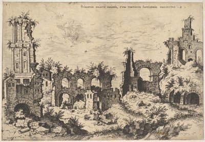 Ansicht der Ruinen auf dem Palatin-Hügel mit Trabeatenfassade links und Arkaden in der Mitte, 1550 von Hieronymus Cock