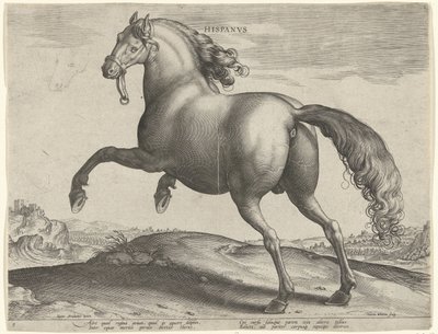 Pferd aus Spanien von Hieronymus Wierix
