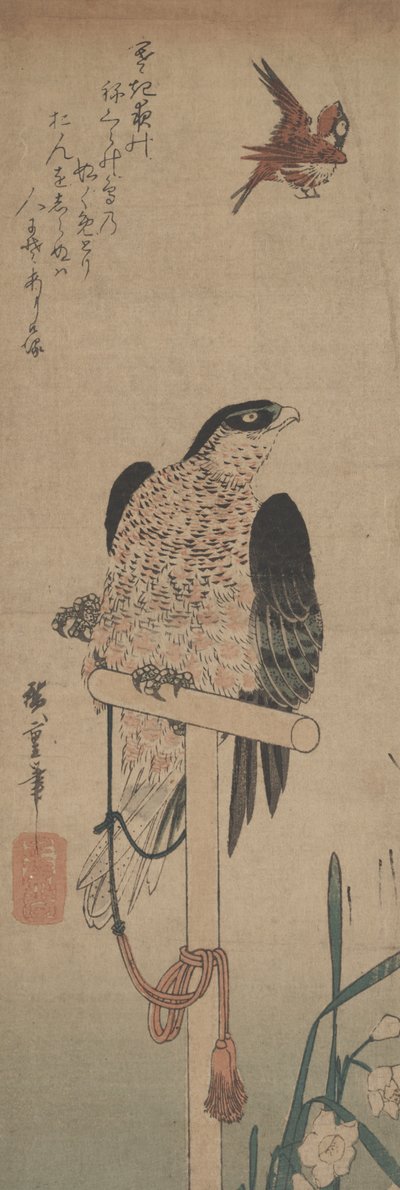 Falke auf der Stange, Spatz und Narzisse von Hirokage Utagawa