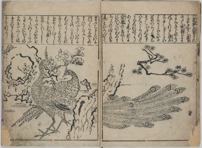Eine Sammlung von Blumen und Vögeln von Hishikawa Moronobu