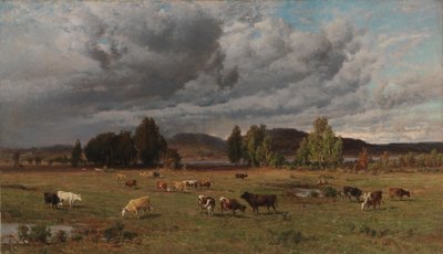 Weide in Häme von Hjalmar Munsterhjelm