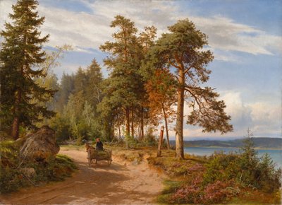  von Hjalmar Munsterhjelm