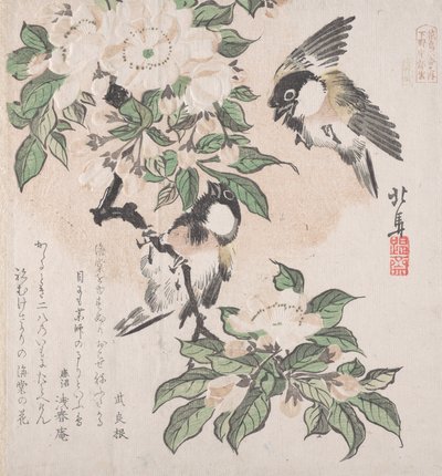 Sammlung Frühlingsregen Harusame shu, Band 3: Sumpfmeisen und Apfelblüten von Hokuba