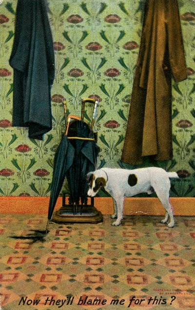 Jetzt werden sie mir die Schuld dafür geben, ca. 1910 von Holmfirth Bamforth and Co