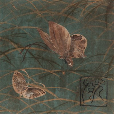 Schmetterlinge und Gräser, Edo-Zeit, frühes 17. Jahrhundert von Hon