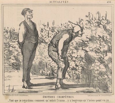 Ich muss sehen, wie die Trauben reifen... von Honoré Daumier