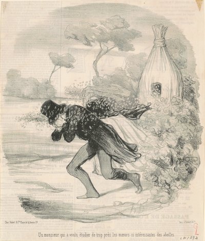 Ein Herr, der die Sitten der Bienen studieren wollte von Honoré Daumier