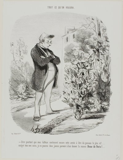 „- Zu sagen, dass meine Dahlien auch dieses Jahr noch das lebhafteste Scharlachrot sind... trotz all meiner Bemühungen werde ich es also nie schaffen, ihnen den Farbton Boue de Paris zu geben!...“, Platte 6 aus Tout Ce Qu