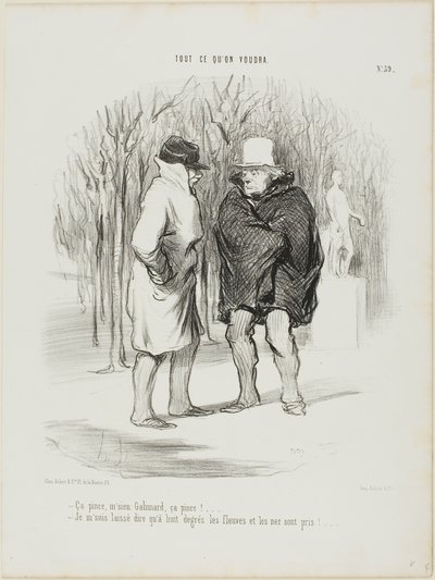 „- Es ist frisch, Herr Galimard, es ist frisch!... - Erlauben Sie mir zu sagen, dass bei 8 Grad die Flüsse und die Nasen gefroren sind...“, Platte 39 aus Tout Ce Qu