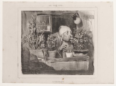 Der Geruchssinn (Die fünf Sinne), aus La Caricature von Honoré Daumier