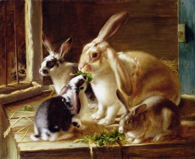 Langohrige Kaninchen in einem Käfig, beobachtet von einer Katze von Horatio Henry Couldery