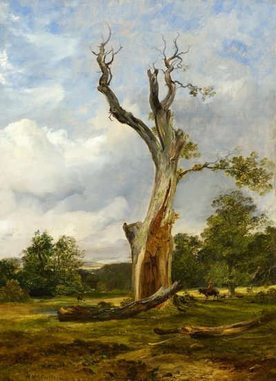 Der zerstörte Baum, ca. 1838 von Horatio McCulloch