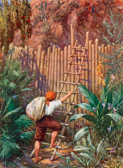 Illustration für Robinson Crusoe von Howard Davie