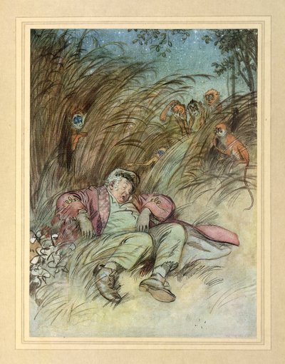 Von Affen beobachtet, aus 