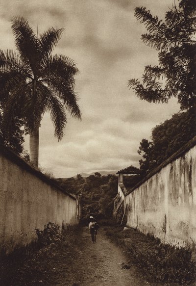 Mexiko: Cuernavaca, Straße zur Ortschaft San Antonio von Hugo Brehme