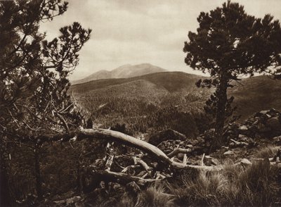 Mexiko: Der Ajusco, gesehen von San Miguel von Hugo Brehme