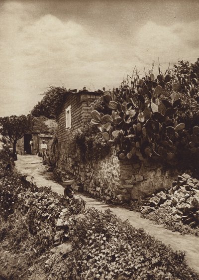 Mexiko: Malerische Ecke in San Angel D F von Hugo Brehme