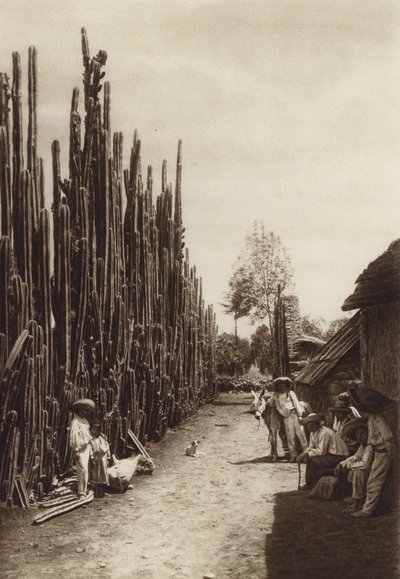 Mexiko: Santiago, Charakteristische Dorfstraße mit säulenförmigen Kakteen von Hugo Brehme