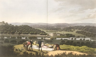 Gesamtansicht von Longleat vom Aussichtshügel, aus 