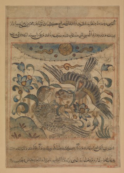 Paar Adler, Folio aus einem Manafi