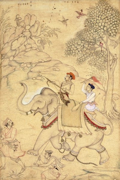 Ein Prinz auf der Jagd, auf einem Elefanten reitend, um 1600-1650 von Indian School