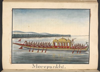Ein Pfauenboot von Indian School