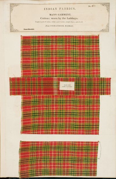 Baumwollprobe aus Coonathoor in Madras, aus The Collection of the Textile Manufacturers of India, von John Forbes Watson, veröffentlicht 1866 von Indian School