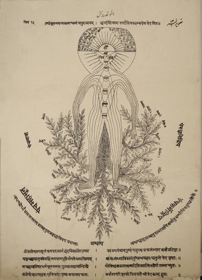 Diagramm der Meridianpunkte am menschlichen Körper von Indian School