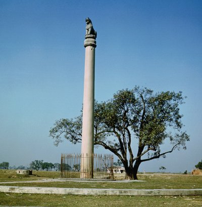 Löwensäule von Kaiser Ashoka (ca. 264-223 v. Chr.) von Indian School