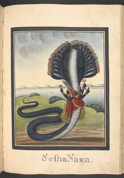 Sesha, die Schlange, auf der Vishnu liegt von Indian School