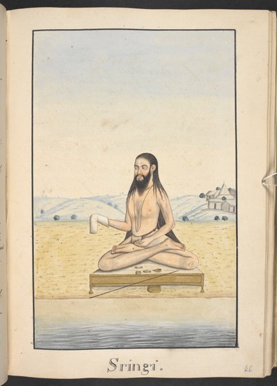Der Weise Sringi von Indian School