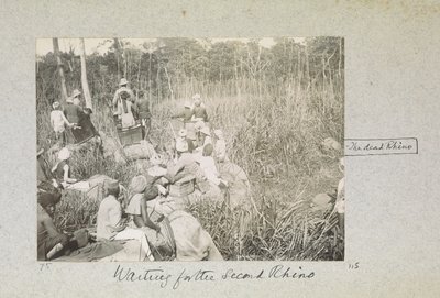 Warten auf das zweite Nashorn, 