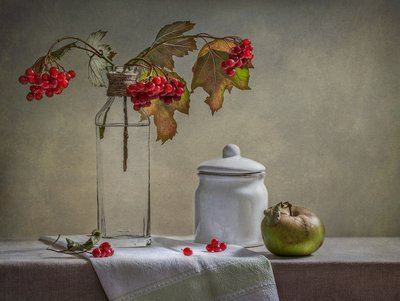 Herbstbeeren und Apfel von Inna Karpova