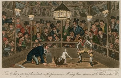 Tom und Jerry mit ihrem Blunt beim Phänomen Monkey, Jacco Macacco, in der Westminster Pit von Isaac, Robert and George Cruikshank