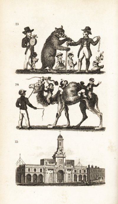 Tanzender Bär und Hund, Kamel und Affe und die Königliche Börse von Isaac Taylor