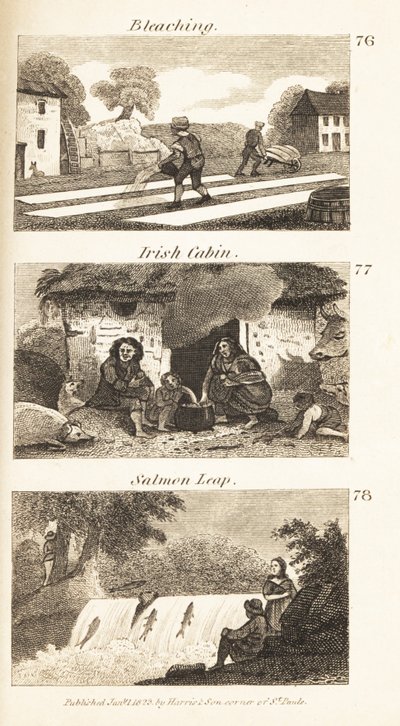 Berufe im Regency-Irland: Bleichen, irische Hütte und Lachssprung von Isaac Taylor
